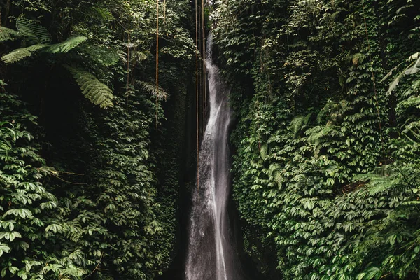 Belle cascade en forêt tropicale. — Photo