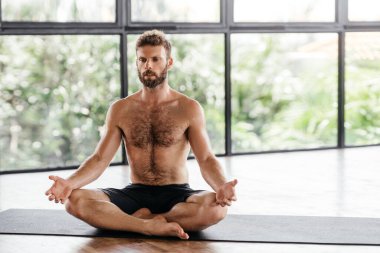 Yogacı adamlar stüdyoda pencerenin önünde egzersiz yapıyor.