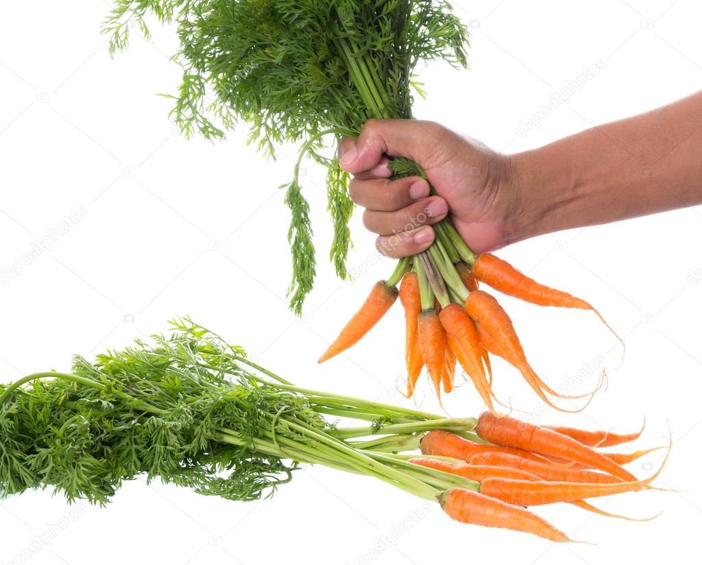 Bunch Of Fresh Carrots