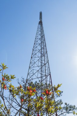 Analog televizyon anten verici 