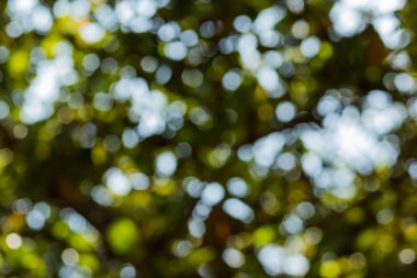 hasır sepet üzerinde iki cam