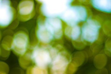 Güzel bokeh arkaplanı