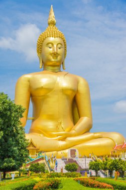 büyük altın buddha heykeli