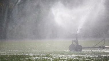 Spor alanı çim sulama yağmurlama kafa.