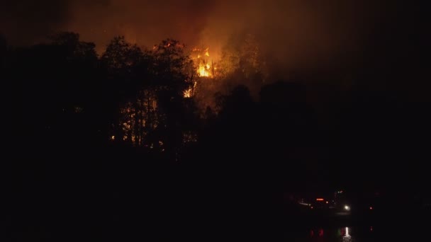 Waldbrandkatastrophe Wird Durch Menschen Verursacht — Stockvideo