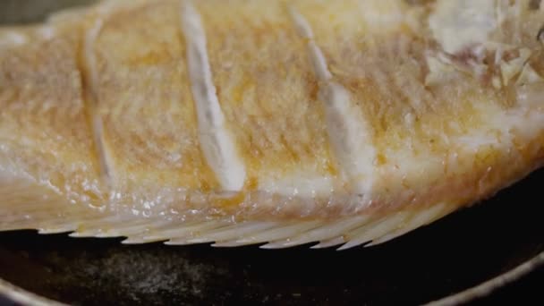 Steka Tilapia Fisk Kastrull Med Het Olja — Stockvideo