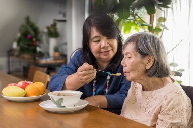 Daughter feeding elderly mother with soup. clipart