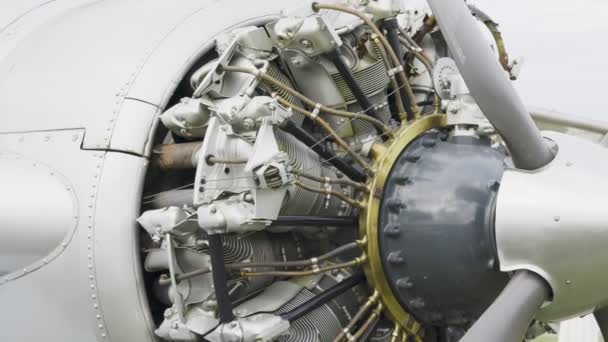 Цилиндровый Радиальный Авиационный Двигатель Воздушным Охлаждением — стоковое видео