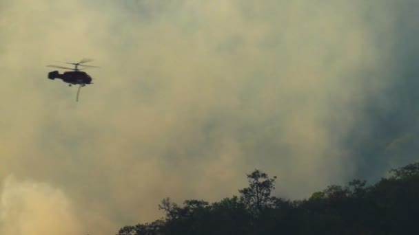 Helicóptero Combate Incêndios Lançando Água Fogo Floresta — Vídeo de Stock