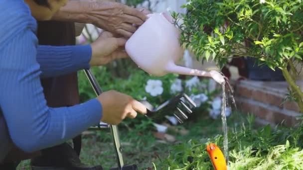 Mulher Sênior Relaxar Com Jardinagem Quintal — Vídeo de Stock