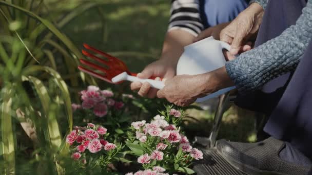 Starsza Kobieta Relaks Ogrodnictwa Podwórku — Wideo stockowe