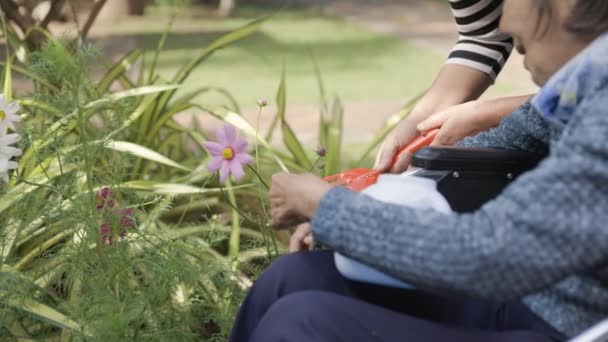 Seniorin Entspannt Sich Bei Gartenarbeit Hinterhof — Stockvideo