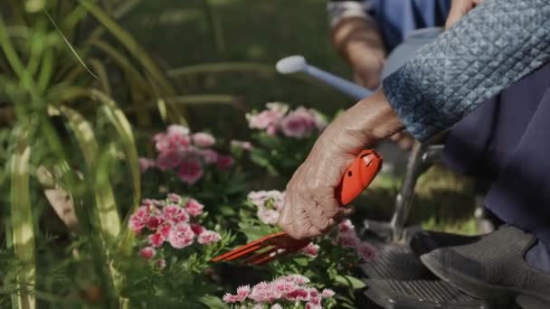 Donna Anziana Rilassarsi Con Giardinaggio Cortile — Video Stock