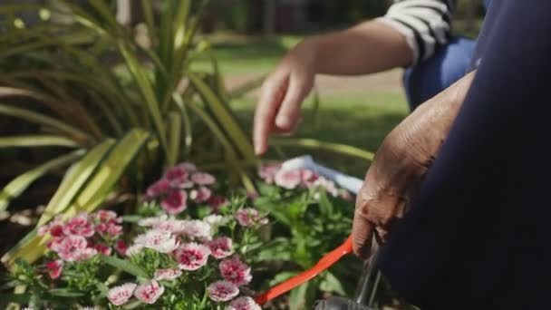 Mulher Sênior Relaxar Com Jardinagem Quintal — Vídeo de Stock