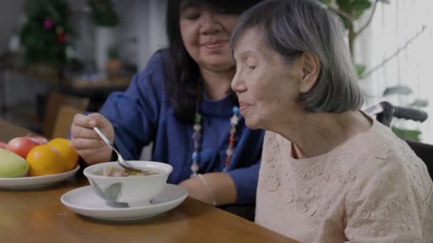 Filha Alimentando Mãe Idosa Com Sopa — Vídeo de Stock