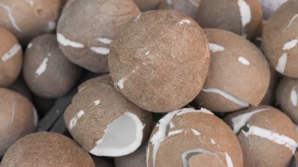 Skalade Kokosnötter För Framställning Kokosmjölk Eller Olja Marknaden Thailand — Stockvideo