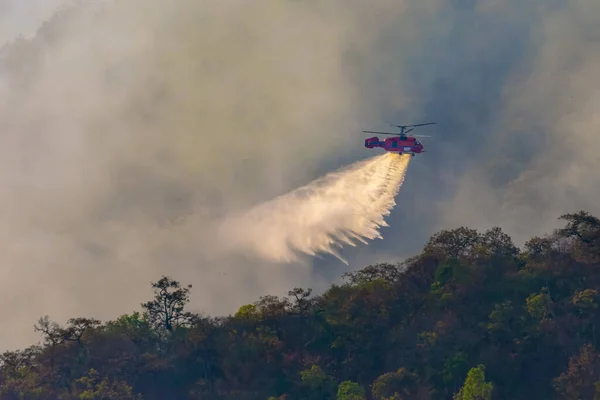 Fire fighting helicopter dropping water on forest fire