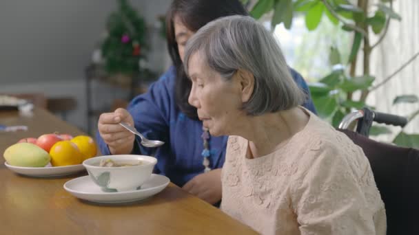 Día Madre Hija Alimentando Madre Anciana Con Sopa — Vídeo de stock