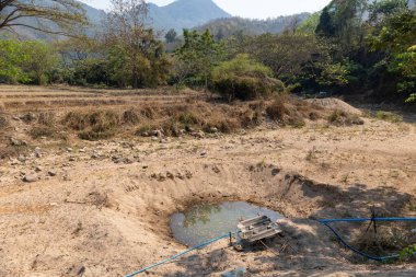 Kuzey Tayland 'da kurumuş nehir yatağı.
