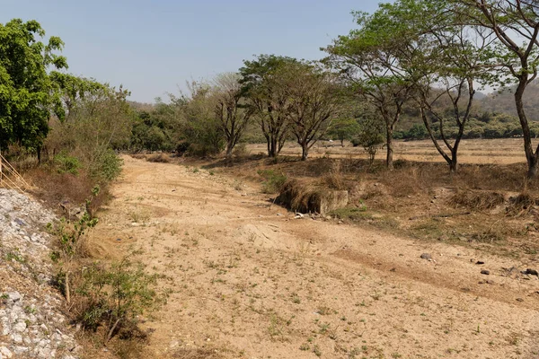Kuzey Tayland 'da kurumuş nehir yatağı.