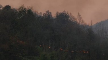 Orman yangını insanların sebep olduğu bir yangın.