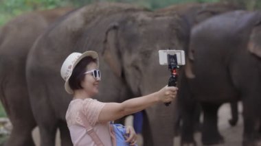 Asyalı orta yaşlı kadın turist dinleniyor ve Chiang Mai, Tayland 'da fillerle fotoğraf çekiyor..