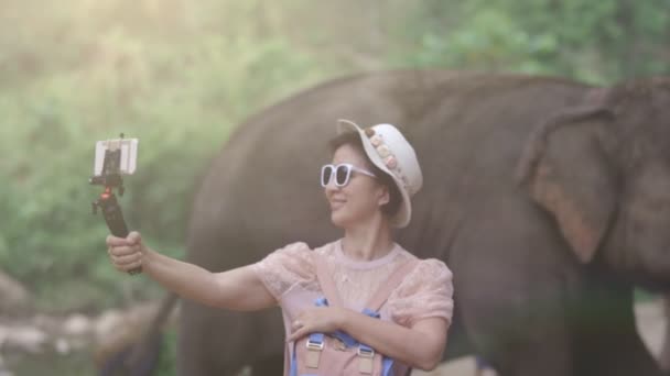 Asian Middle Aged Woman Tourist Relaxing Take Photo Elephants Chiang — Stock Video