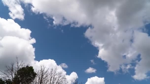 Cumulus Moln Körs Regnperioden — Stockvideo