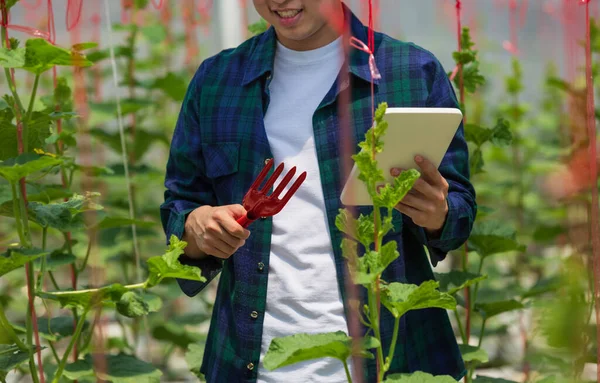 Fazenda Inteligente Agricultor Usando Tablet Sistema Controle Computador Agrícola Casa — Fotografia de Stock