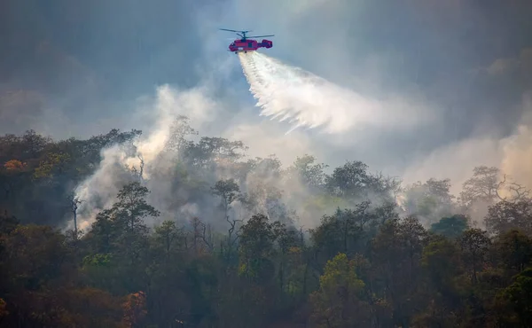 Yangın Söndürme Helikopteri Orman Yangınına Bırakıyor — Stok fotoğraf