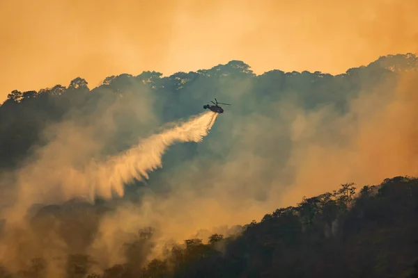 Yangın Söndürme Helikopteri Orman Yangınına Bırakıyor — Stok fotoğraf