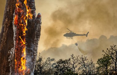 Yangın söndürme helikopteri orman yangınına su bırakıyor.