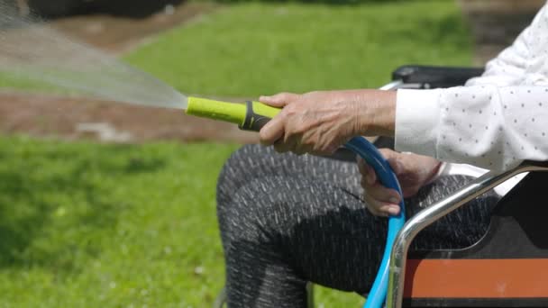 Donna Anziana Mano Tenuta Spruzzatore Tubo Irrigazione Piante Cortile — Video Stock