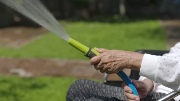 Donna Anziana Mano Tenuta Spruzzatore Tubo Irrigazione Piante Cortile — Video Stock