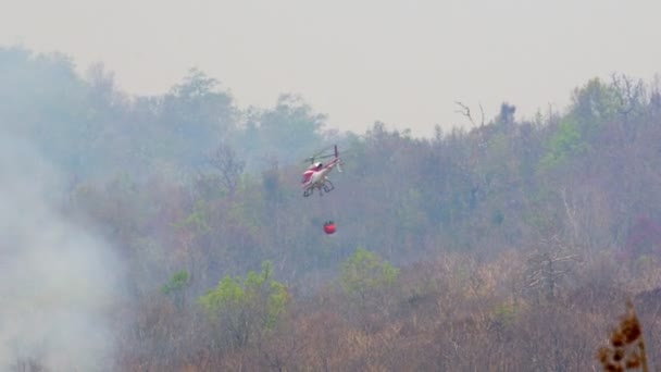 Löschhubschrauber Wirft Wasser Auf Waldbrand — Stockvideo