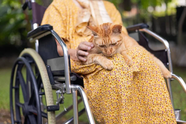 Elderly Woman Holding Ginger Cat Wheelchair Backyard — Stock Photo, Image