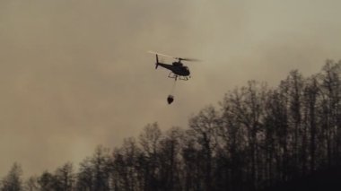 Siluet Yangın savaş helikopteri orman yangınına su bırakıyor.