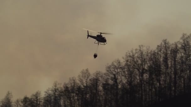 シルエット森林火災に水を落とす消防ヘリコプター — ストック動画