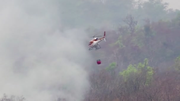 Πυροσβεστικό Ελικόπτερο Ρίχνει Νερό Στη Φωτιά Του Δάσους — Αρχείο Βίντεο