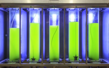 Photobioreactor in lab algae fuel biofuel industry clipart