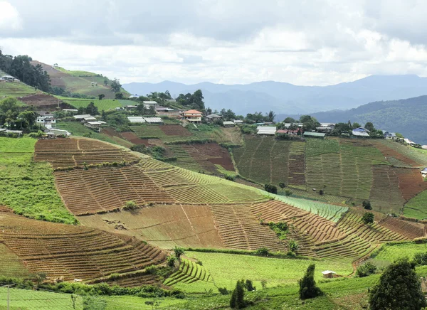 Hill tribe village and terraced vegetable field ,Thailand. — Stock Photo, Image