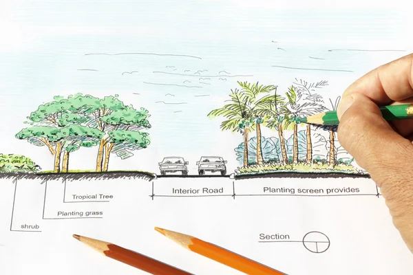 Plano de seção de projeto de arquiteto paisagista . — Fotografia de Stock
