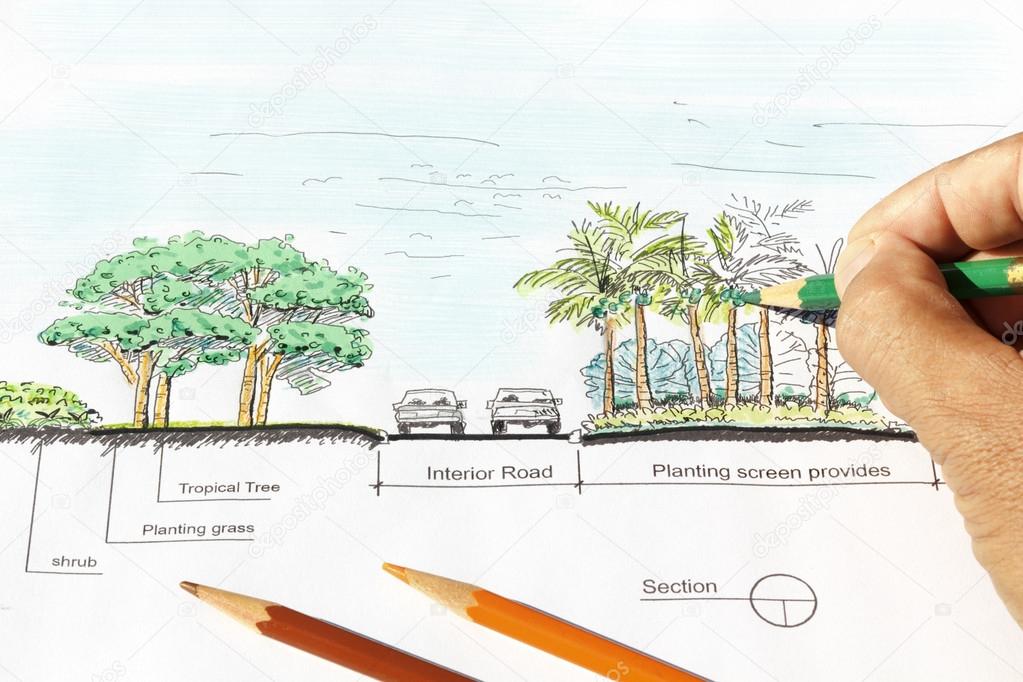 Landscape architect design section plan.