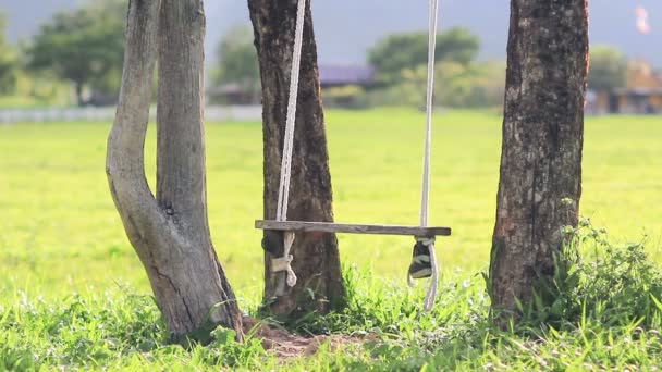 Schaukel hängt an einem Baum im Feld — Stockvideo