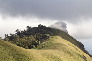 Doi Pzt Jong dağ, Omkoi bölge Chiang Mai Tayland.