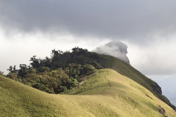 Doi Mon Jong mountain ,Omkoi district Chiang Mai  Thailand. — Stock Photo, Image