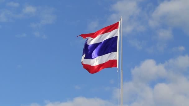 Bandera tailandesa en el viento — Vídeo de stock