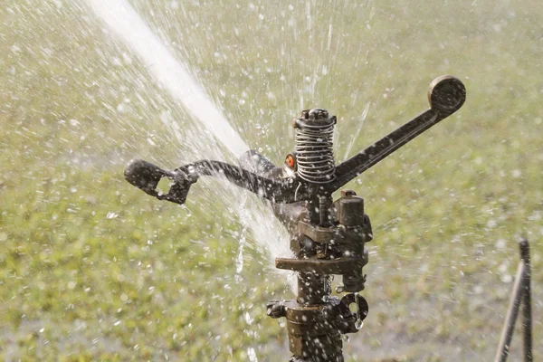 Sprinkler spraying water — Stock Photo, Image