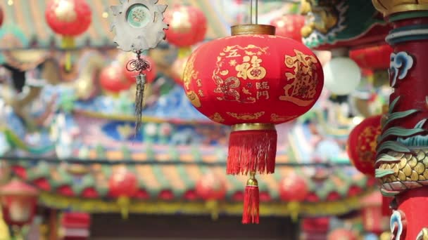 Chinese lanterns in new year day. — Stock Video