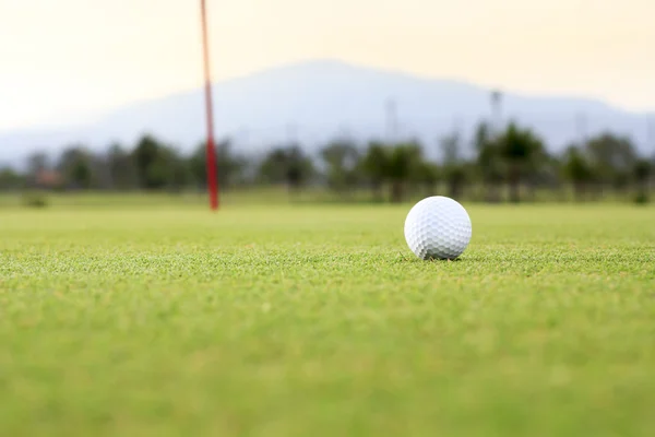М'яч для гольфу на зеленій трасі — стокове фото